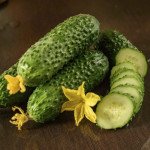 Огурец Солют F1 /50 семян/ *Nong Woo Bio*