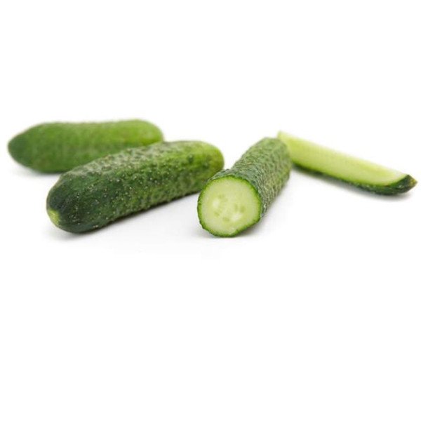 Насіння огірка Саунд F1 /50 насінин/ *Rijk Zwaan*