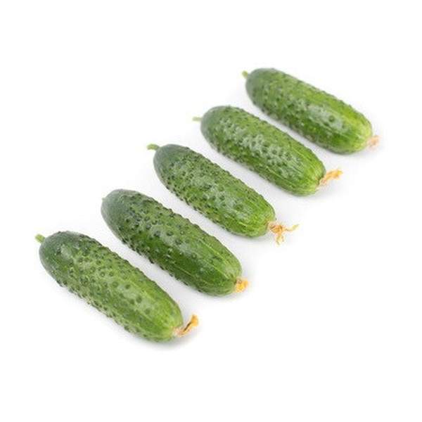 Семена огурца Триоле F1 /50 семян/ *Rijk Zwaan*