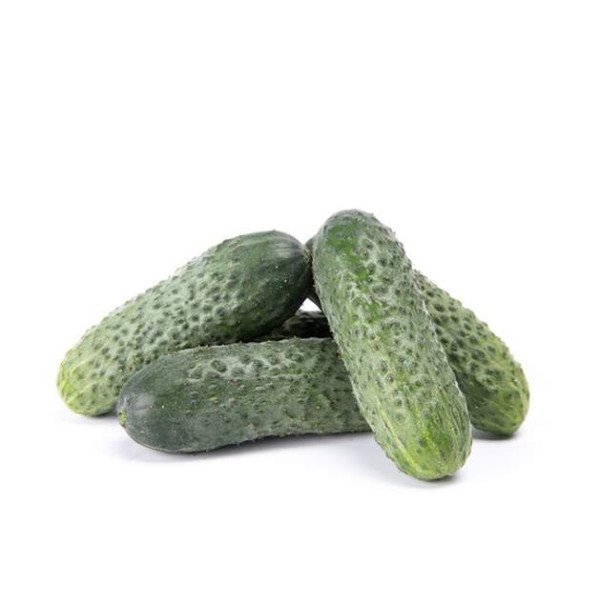 Насіння огірка Чайковський F1 /50 насінин/ *Rijk Zwaan*