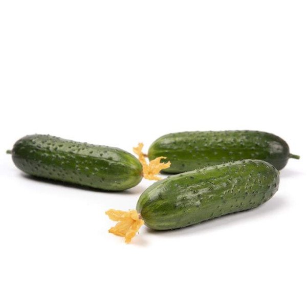 Насіння огірка Валігора F1 /50 насінин/ *Rijk Zwaan*