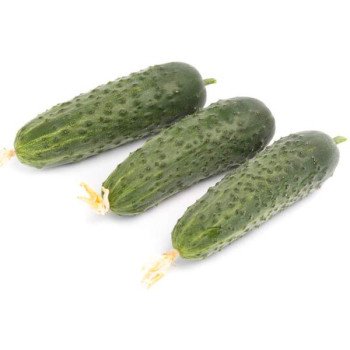 Огірок Кантара F1 /50 насінин/ *Rijk Zwaan*