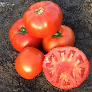 Томат Рихам F1 /50 семян/ *Clause*