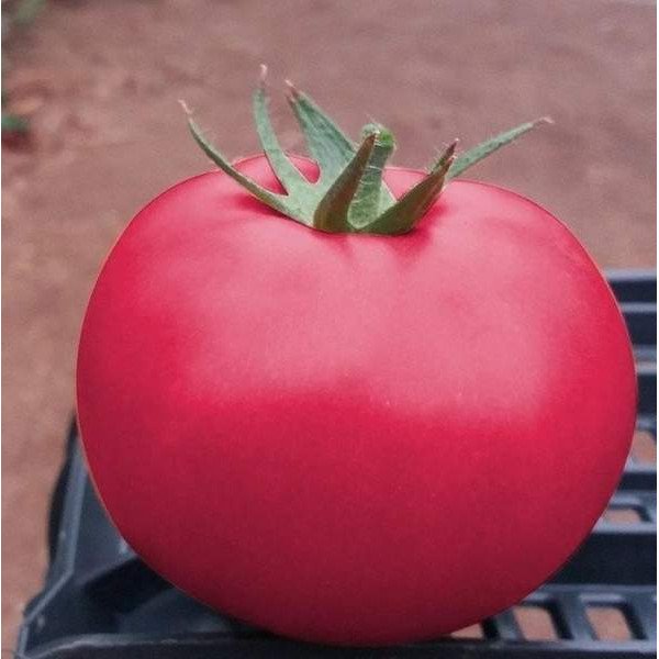 Семена томата Пинк Кристалл F1 /10 семян/ *Clause*