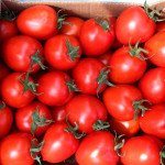 Томат Колибри F1 /10 семян/ *Clause*