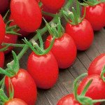 Томат Тутті Фруті F1 /10 насінин/ *Clause*