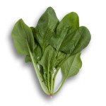 Шпинат Боа F1 /1.000 семян/ *Rijk Zwaan*