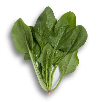 Шпинат Боа F1 /1.000 насінин/ *Rijk Zwaan*