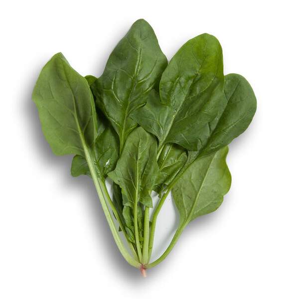 Насіння шпинату Боа F1 /1.000 насінин/ *Rijk Zwaan*