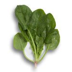 Шпинат Вудпекер F1 /1.000 насінин/ *Rijk Zwaan*