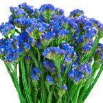 Кермек Синяя река /10 г/ *Hem Zaden*