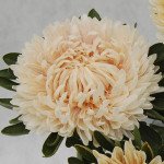 Астра Сиринга кремовая /1 грамм/ *Satimex*