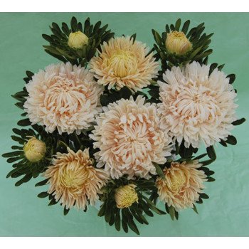 Айстра Сиринга кремова /1 грам/ *Satimex*