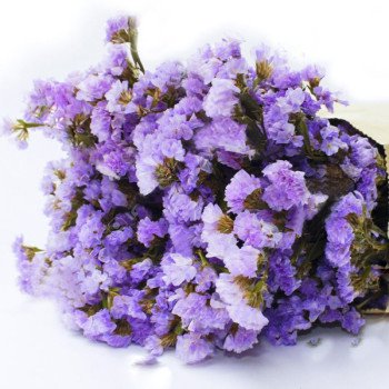 Кермек Лавандовый прованс /10 г/ *Hem Zaden*