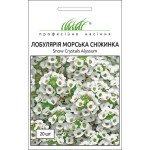 Лобулярия Снежинка /20 семян/ *Профессиональные семена*