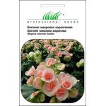 Бегонія махрова коралова /10 насінин/ *Професійне насіння*