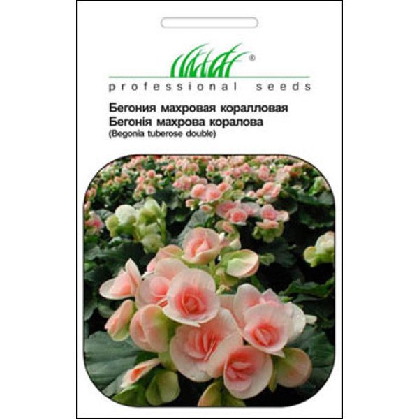 Семена бегонии махровая коралловая /10 семян/ *Профессиональные семена*