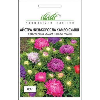 Айстра низькоросла Камео суміш /0,3 г/ *Професійне насіння*