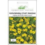 Чорнобривці Сігнет лимонні /0,2 г/ *Професійне насіння*