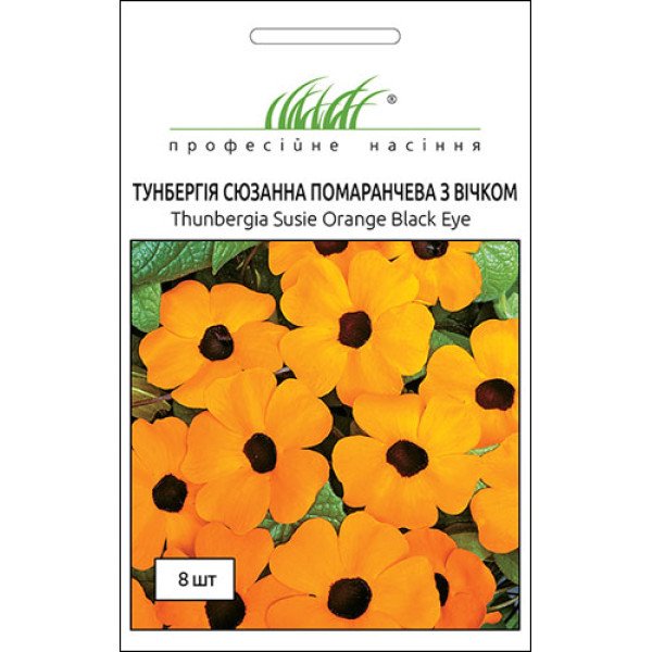 Насіння тунбергії крилатої Сюзанна помаранчева /8 насінин/ *Професійне насіння*