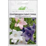 Платикодон Гаваї суміш /0,1 г/ *Професійне насіння*