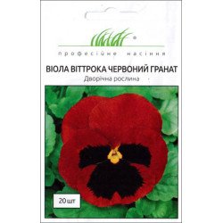 Віола Червоний гранат /20 насінин/ *Професійне насіння*