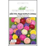 Айстра Леді Корал суміш /20 насінин/ *Професійне насіння*