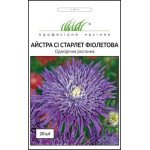 Астра Си Старлет фиолетовая /20 семян/ *Профессиональные семена*