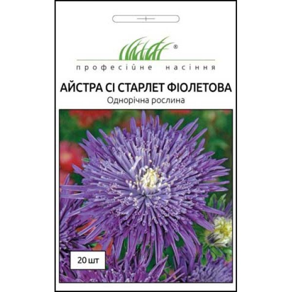 Насіння айстри Сі Старлет фіолетова /20 насінин/ *Професійне насіння*