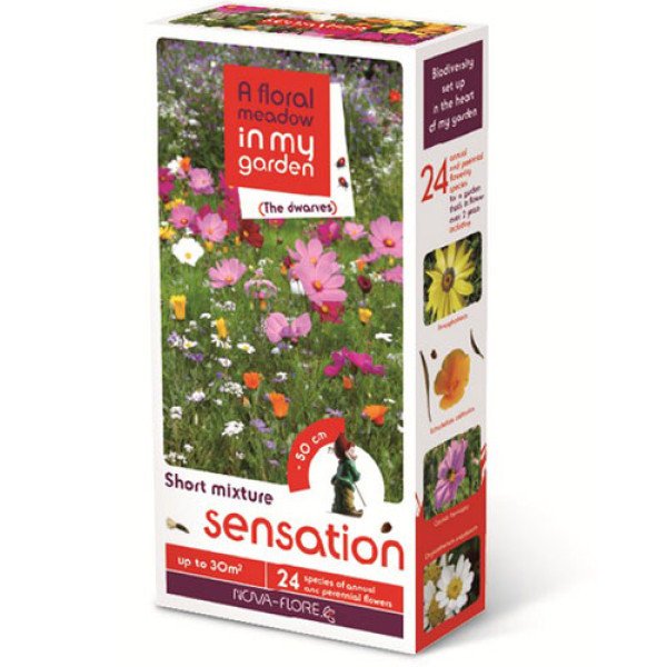 Суміш Сенсація /200 г/ *Nova Flore*