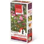 Смесь Сенсация /500 г/ *Nova Flore*