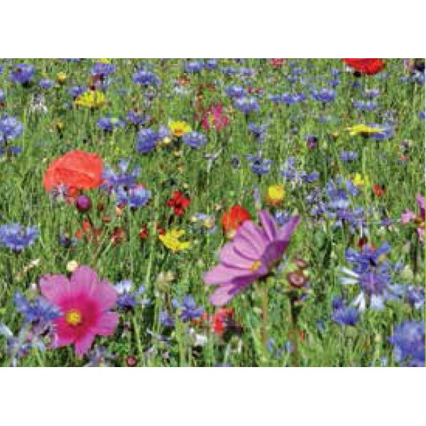 Суміш Метелики /30г /*Nova Flore*