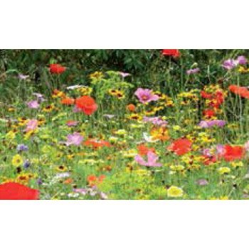 Суміш Богемія /200 г/ *Nova Flore*