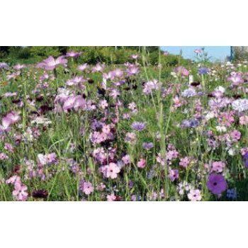 Суміш Делікейтс /60 г/ *Nova Flore*