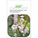 Фізостегія віргінська суміш /0,1 г/ *Професійне насіння*