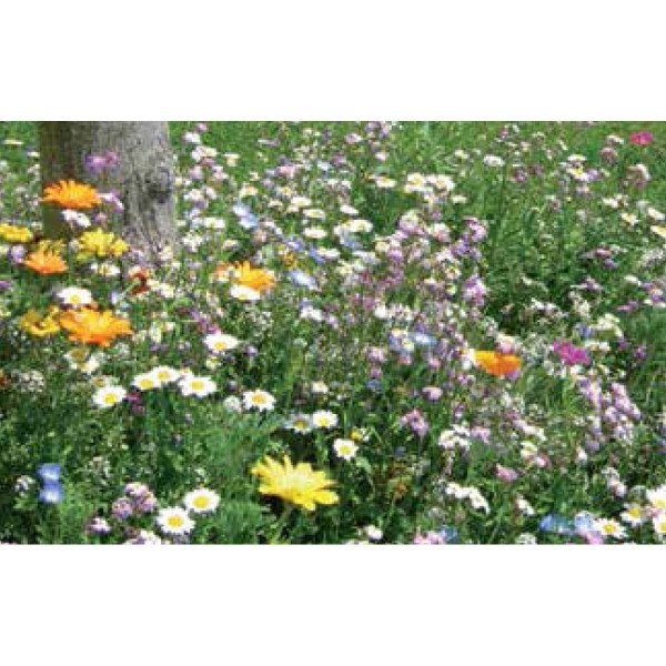 Суміш Прикоренева зона дерев /200 г/ *Nova Flore*