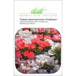 Годеція Рембрандт суміш /0,1 г/ *Професійне насіння*