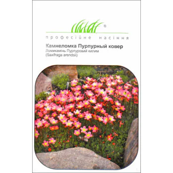Камнеломка Пурпурный ковер /0,01 г/ *Профессиональные семена*