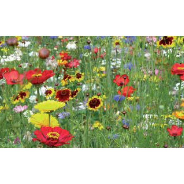 Суміш Леді Берд /60 г/ *Nova Flore*