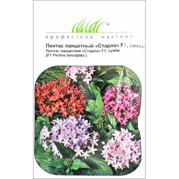 Семена пентаса ланцетного Старла F1 смесь /10 семян/ *Профессиональные семена*