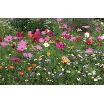 Суміш Сенсація /200 г/ *Nova Flore*