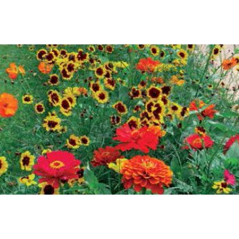 Суміш Тоскана /200 г/ *Nova Flore*