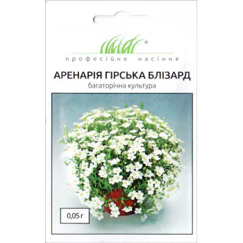 Аренария Близзард /0,05 г/ *Профессиональные семена*