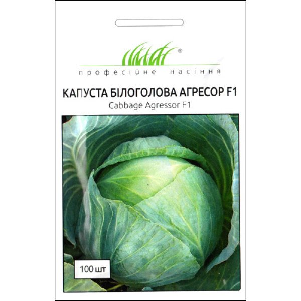 Насіння капусти білоголової Агресор F1 /100 насінин/ *Професійне насіння*