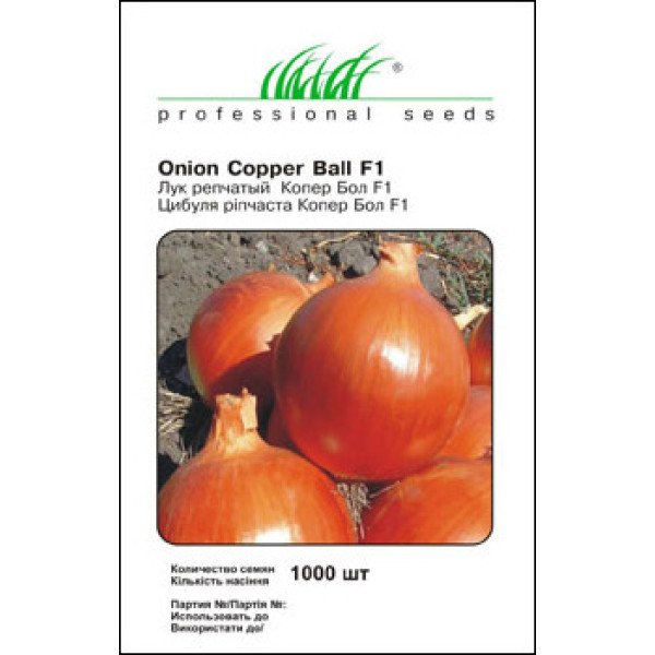Насіння цибулі Копер бол F1 /1 000 насінин/ *Професійне насіння*