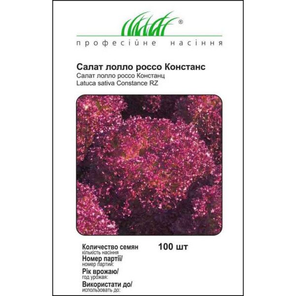 Насіння салату Констанц /100 насінин/ *Професійне насіння*