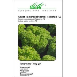 Салат Левістро /100 насінин (драже)/ *Професійне насіння*
