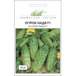 Огірок Надя F1 /50 насінин/ *Професійне насіння*