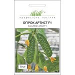 Огірок Артист F1 /50 насінин/ *Професійне насіння*