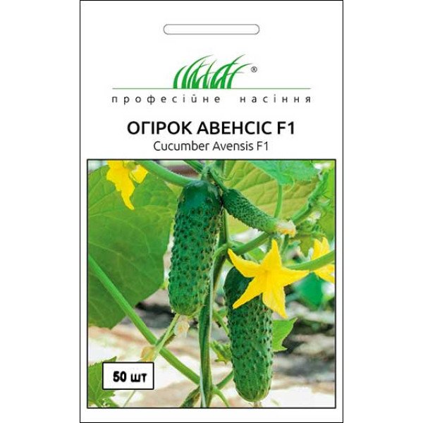 Насіння огірка Авенсіс F1 /50 насінин/ *Професійне насіння*